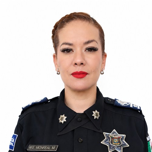 Subdirectora de Prevención al Delito