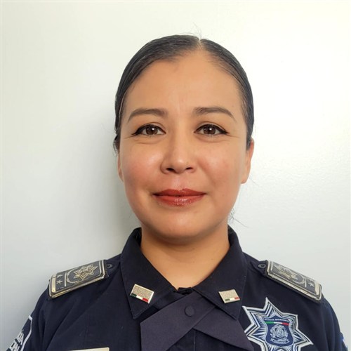 Subdirectora de Enlace Internacional